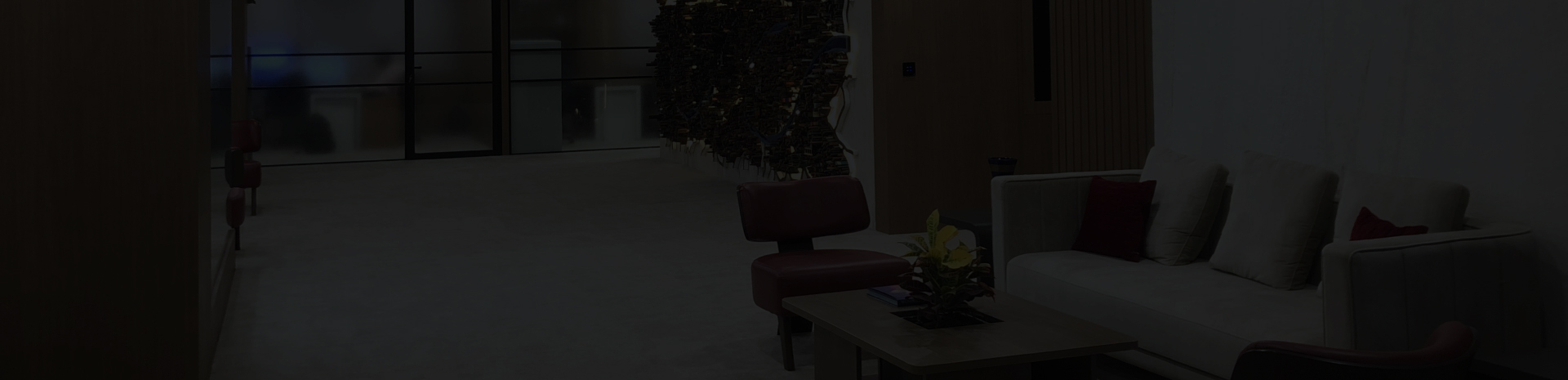 Portfolio background